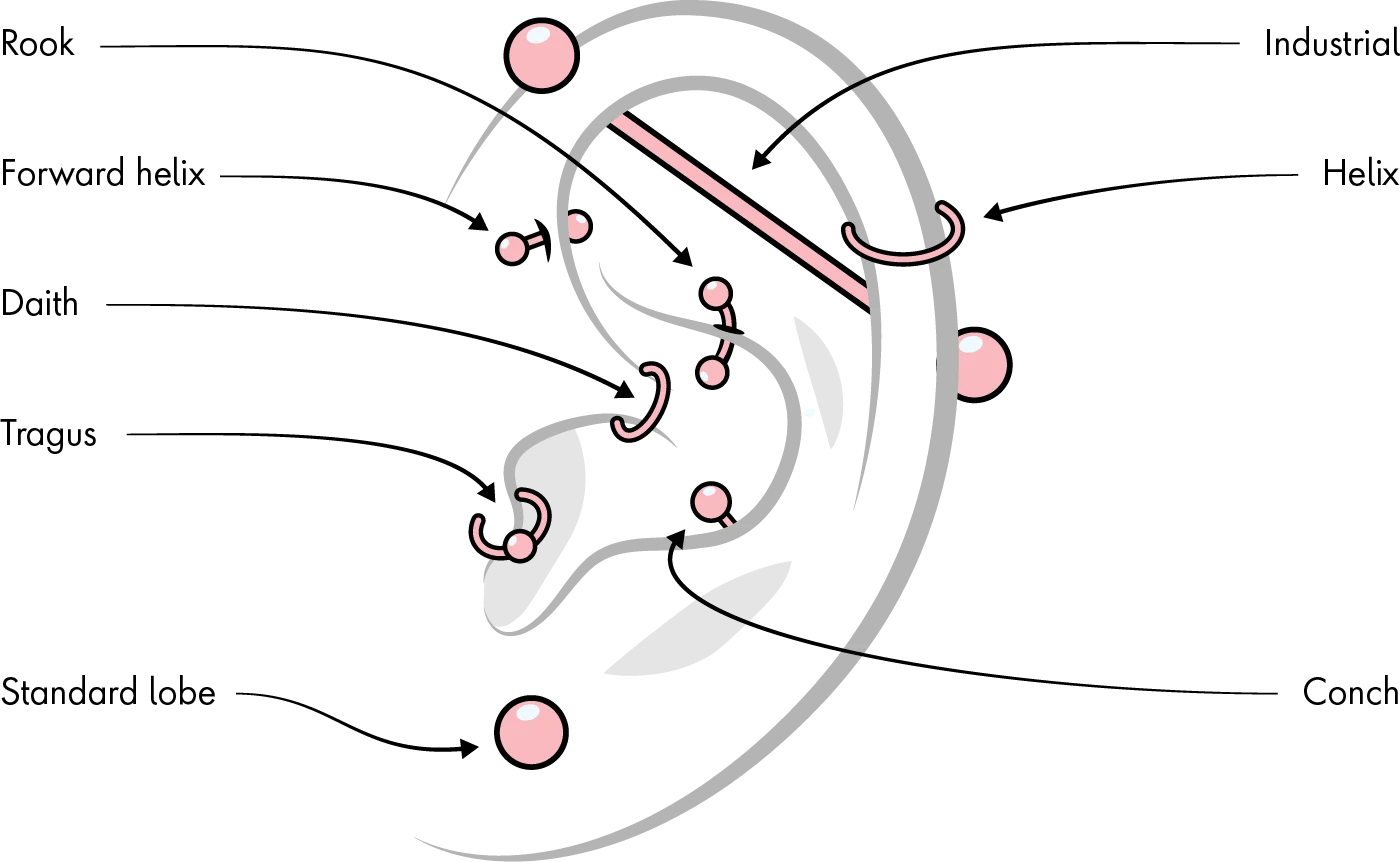 Diagram of an ear showing the different ear piercing placement options