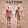 Tattoo Pain Chart: Pain Levels by Body Area (Least to Most Painful)