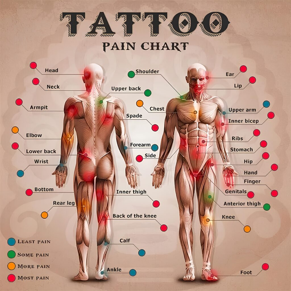 Tattoo Pain Chart: Pain Levels by Body Area (Least to Most Painful)