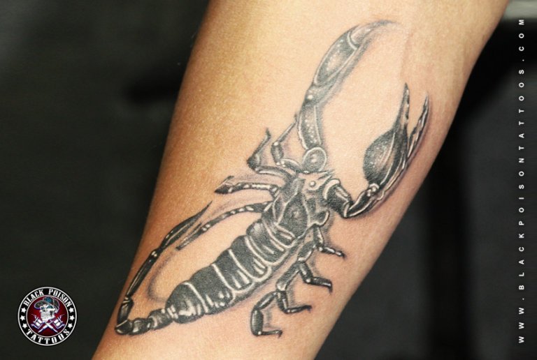 Realistic black and grey scorpion tattoo on the forearm