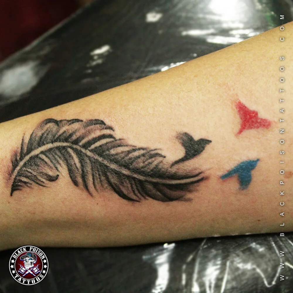 Black and grey feather tattoo with red and blue birds on the arm