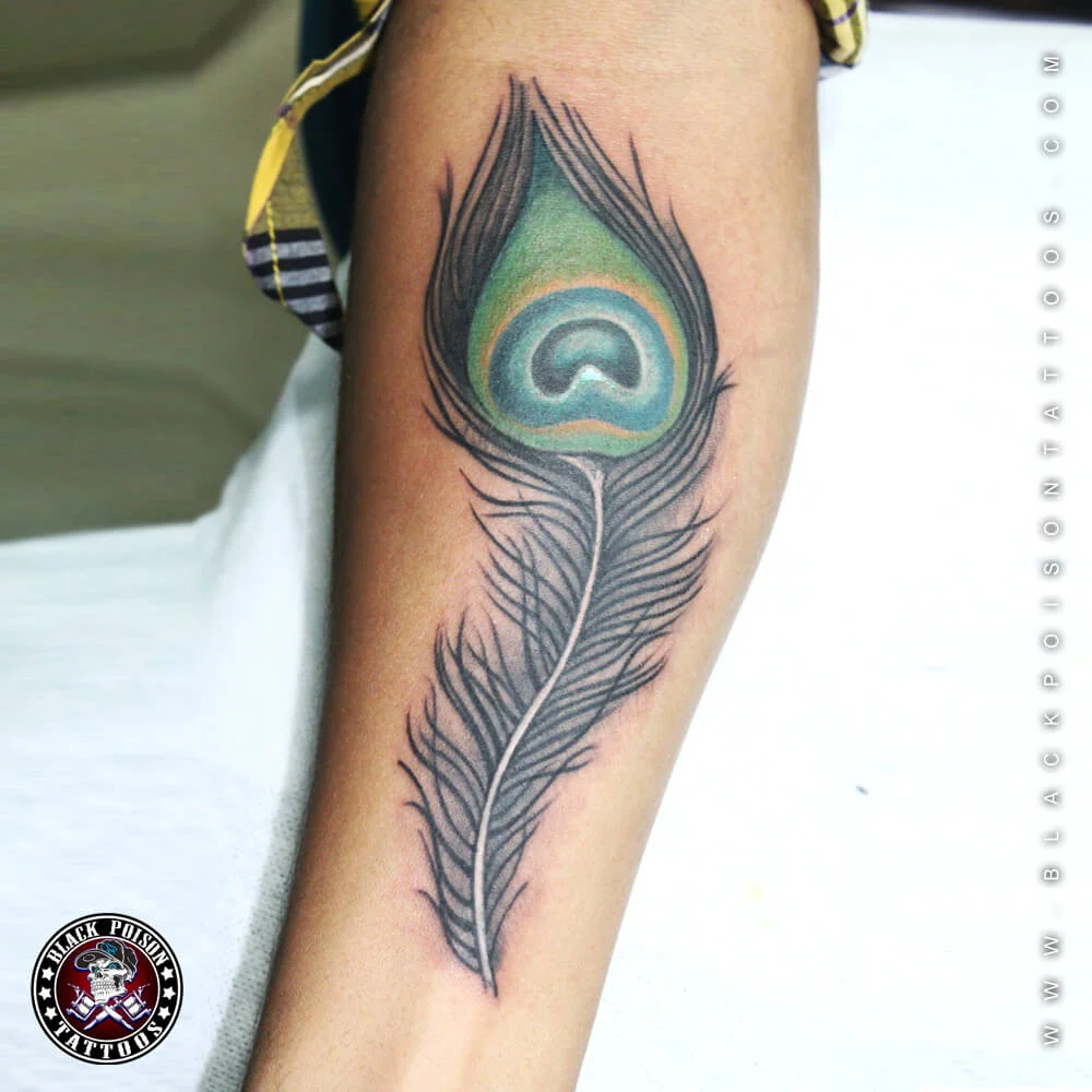 Coloured peacock feather tattoo on the arm