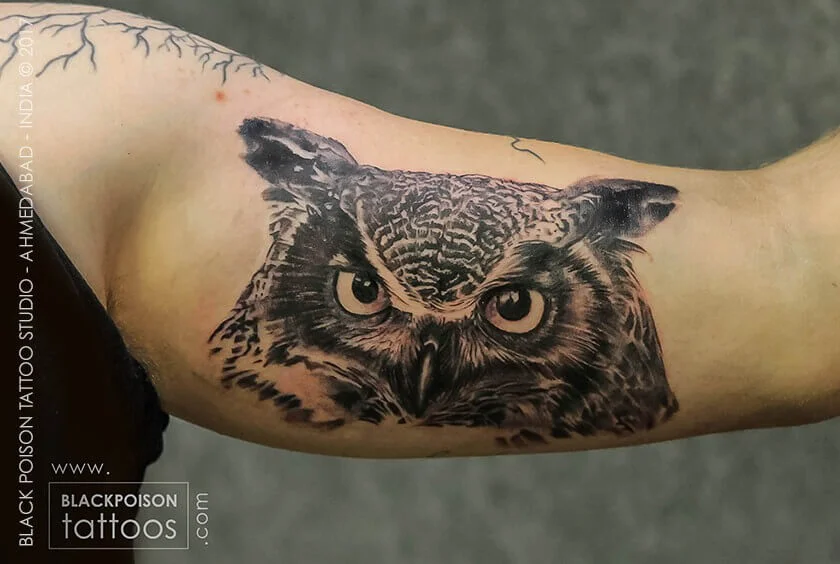 Owl Tattoo
