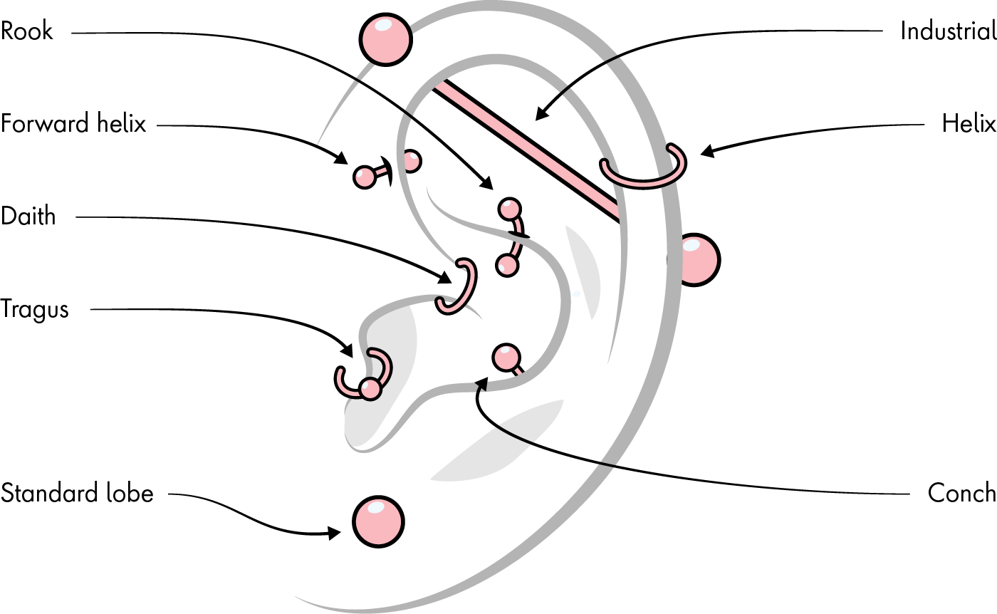 Diagram of an ear showing the different ear piercing placement options