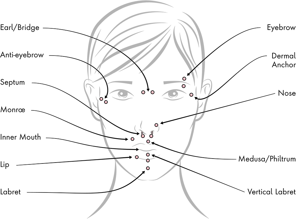 Diagram of a face showing the different facial piercing placement options