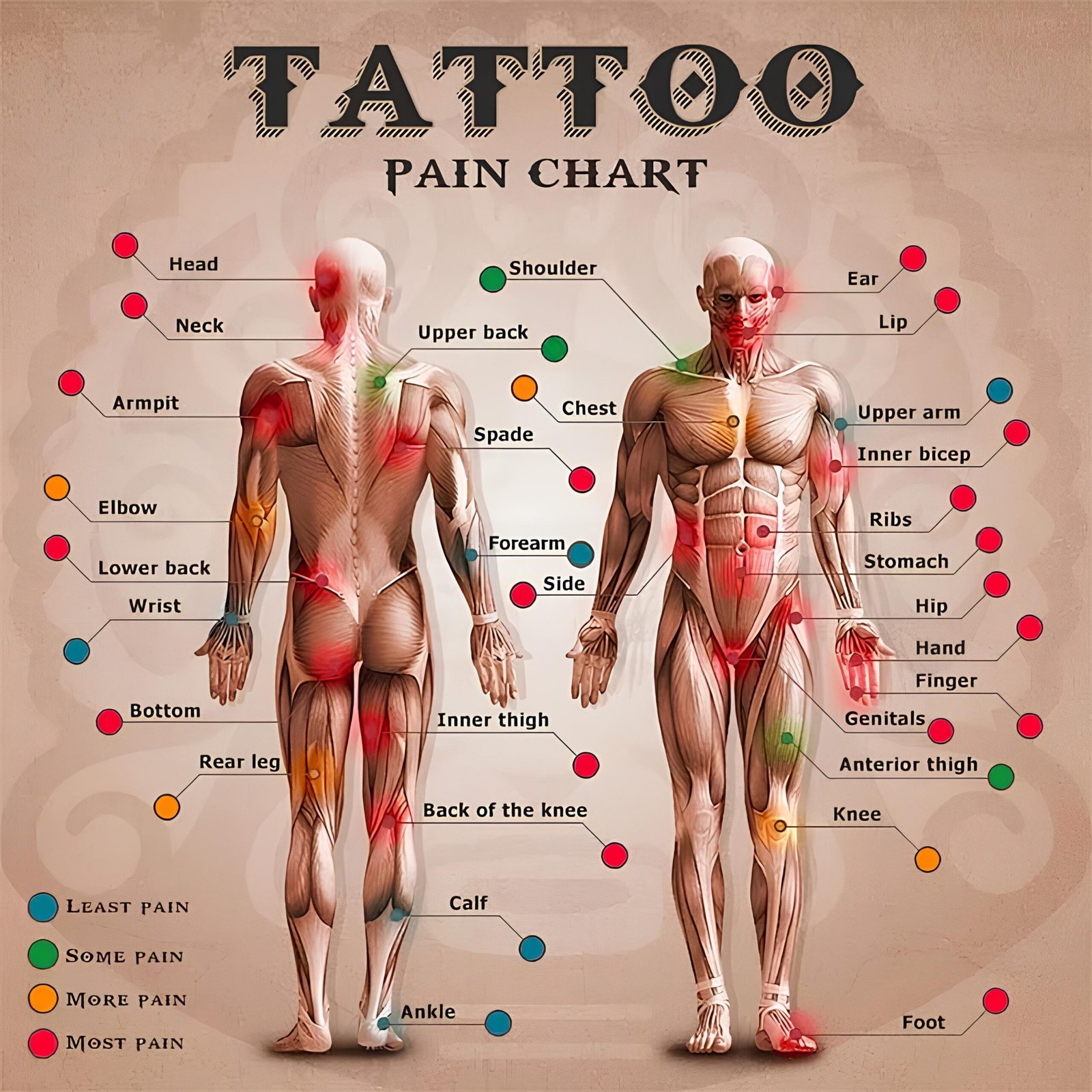 Tattoo Pain Chart - Pain Levels by Body Area