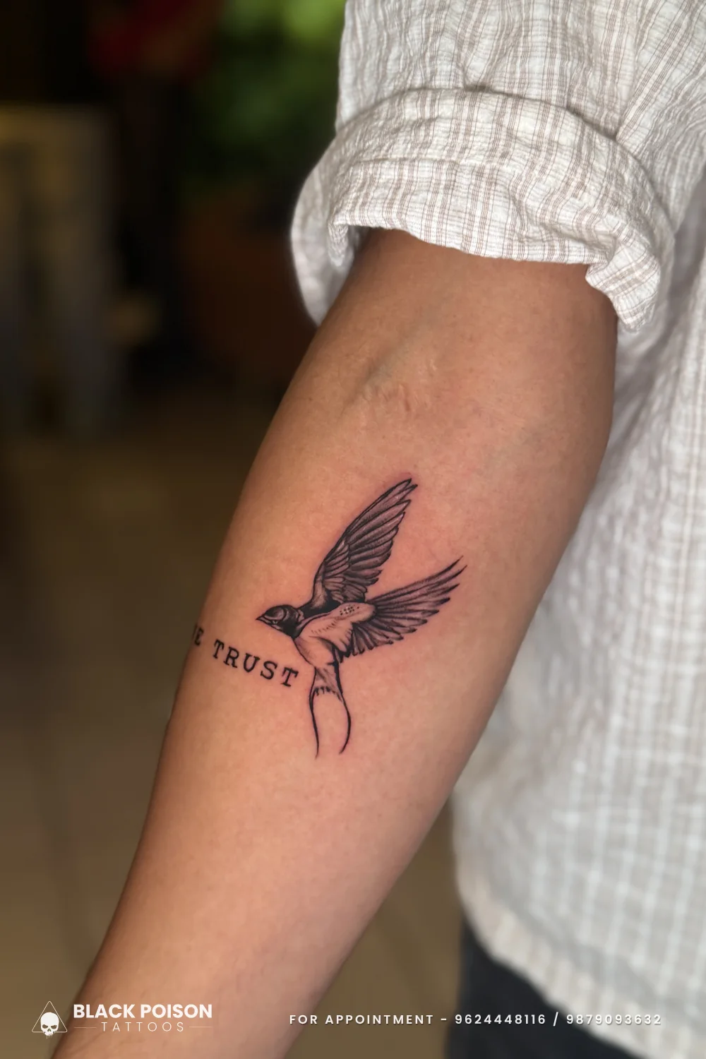 Inner forearm view of a black and grey swallow with spread wings and forked tail beside the word TRUST in serif capitals